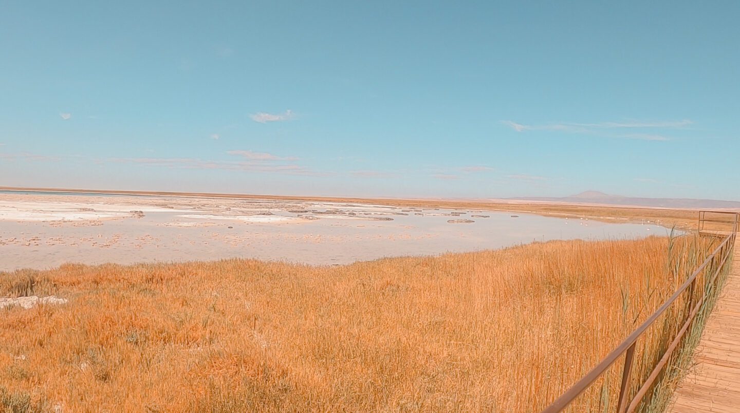 Laguna Cejar, Piedra y Baltinache