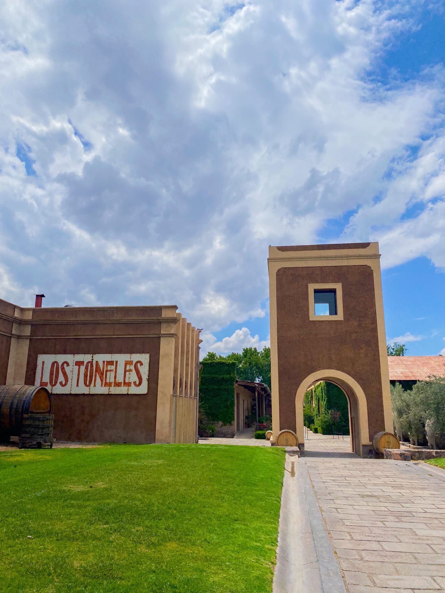 filas de viñedos mendoza ruta del vino malbec bodegas