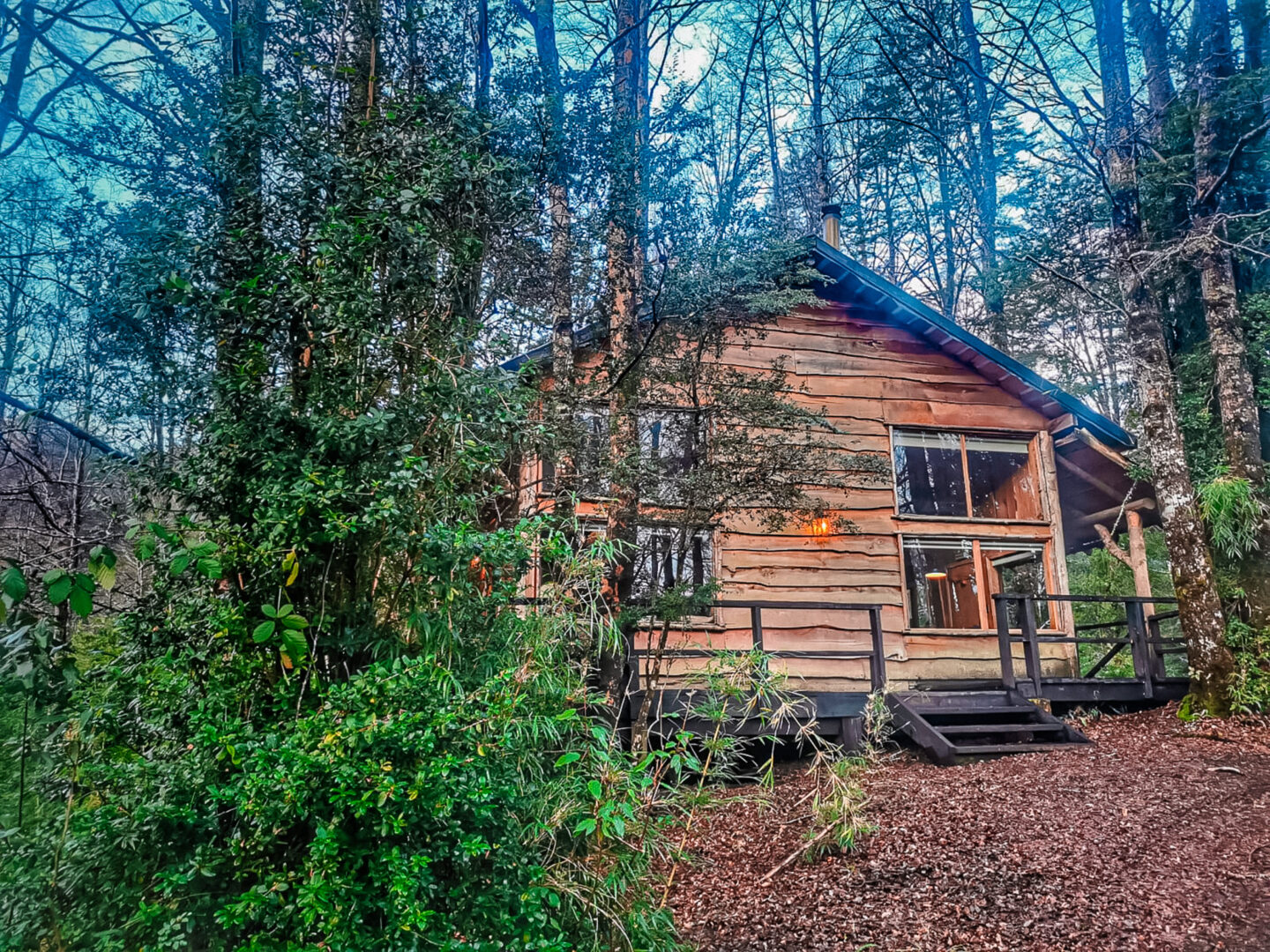 Caba&ntilde;as en Huilo Huilo