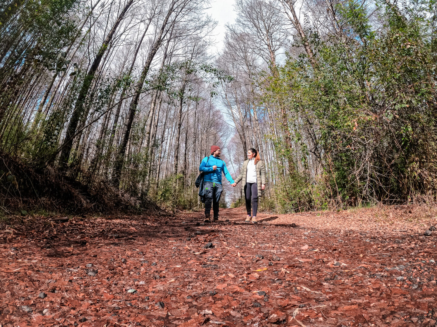 Senderos Huilo Huilo