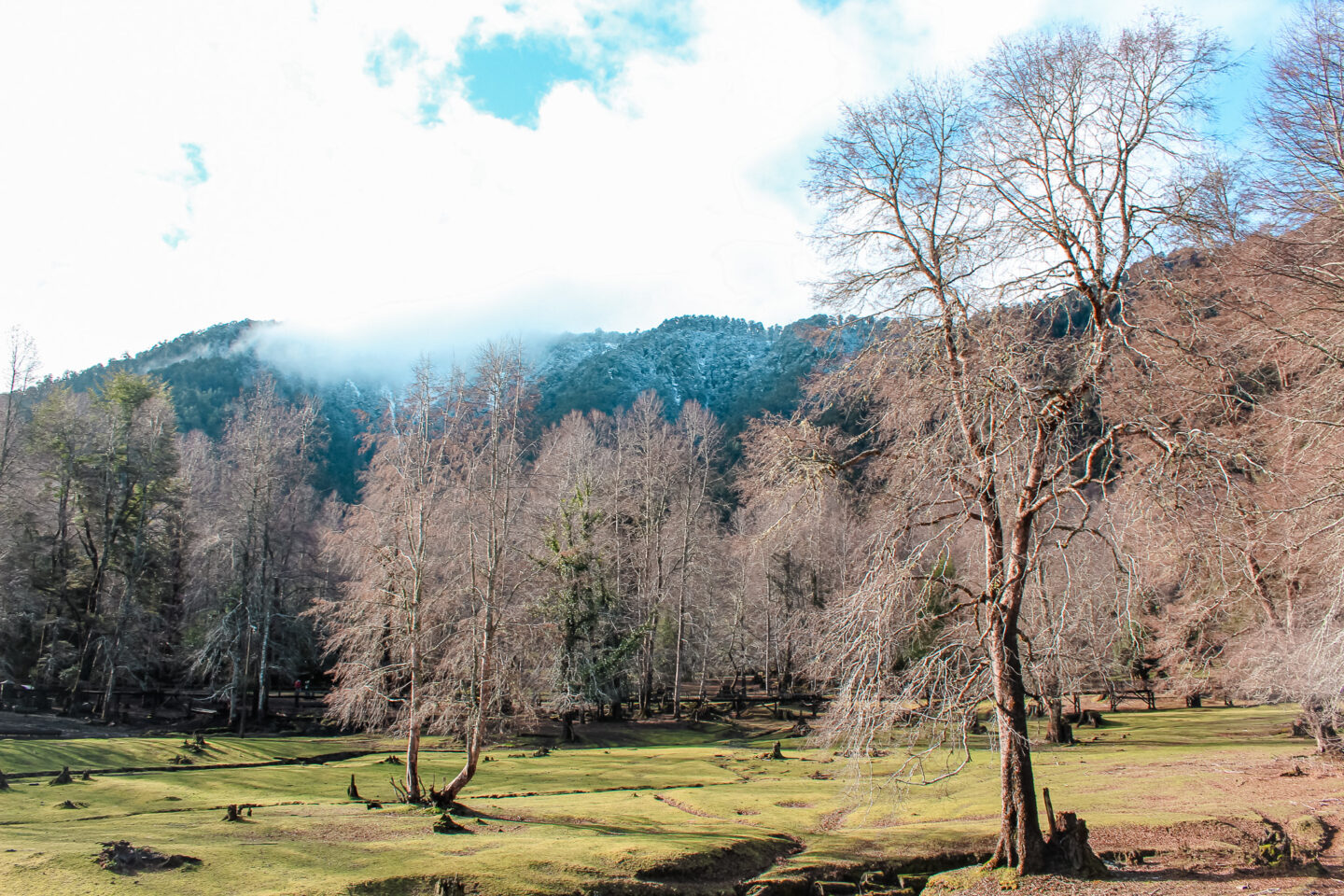 Acceso Portal Huilo Huilo