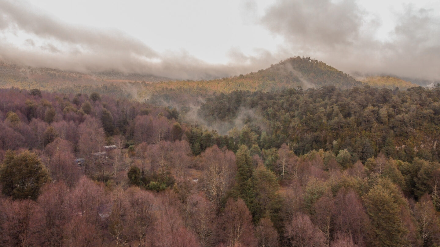 Reserva Biologica de Huilo Huilo