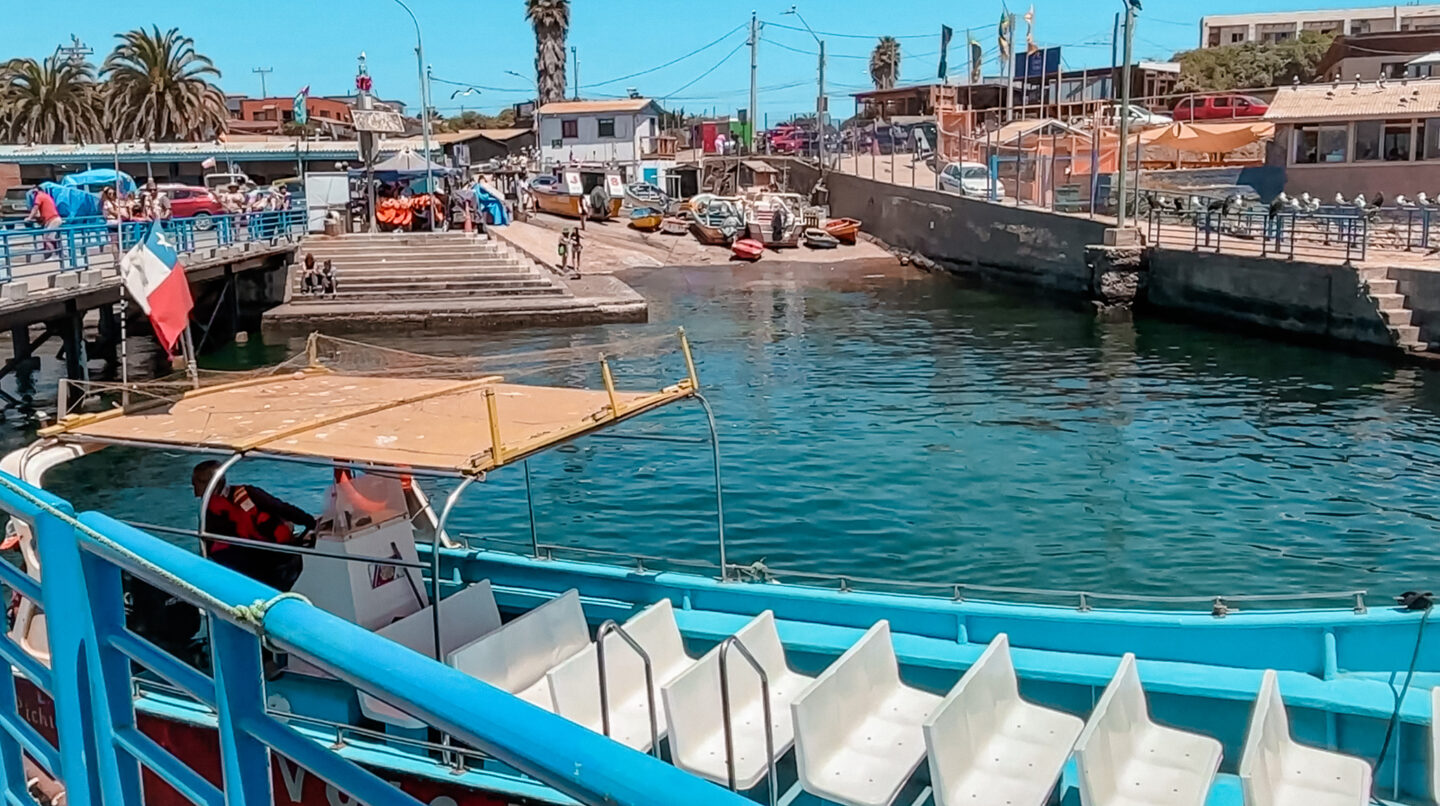 Caleta de Pescadores y Muelle de Pichidangui