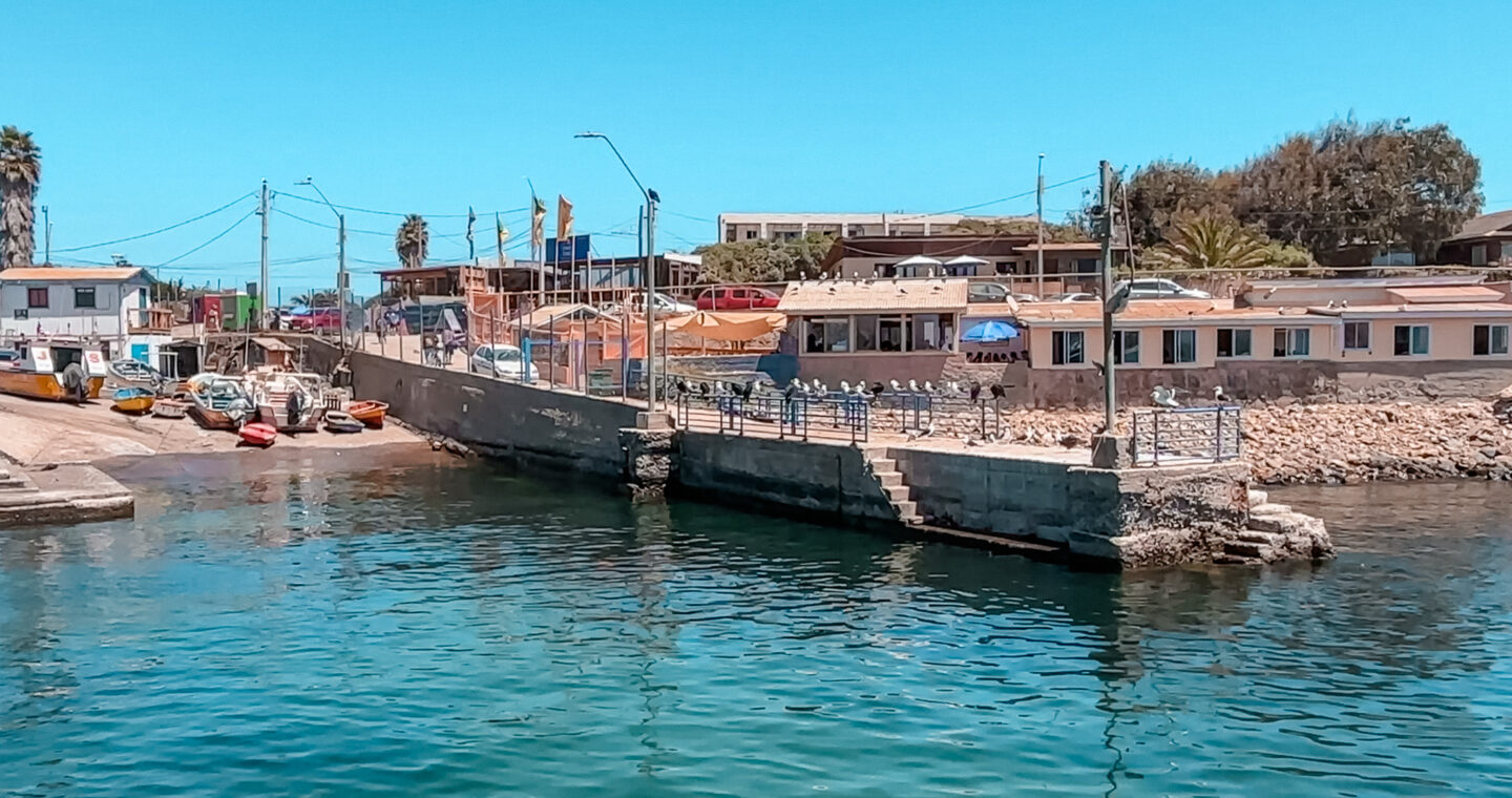 Caleta de Pescadores y Muelle de Pichidangui