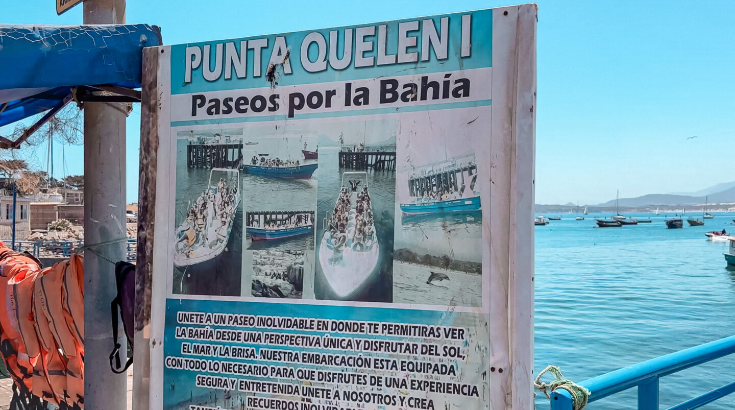 Caleta de Pescadores y Muelle de Pichidangui