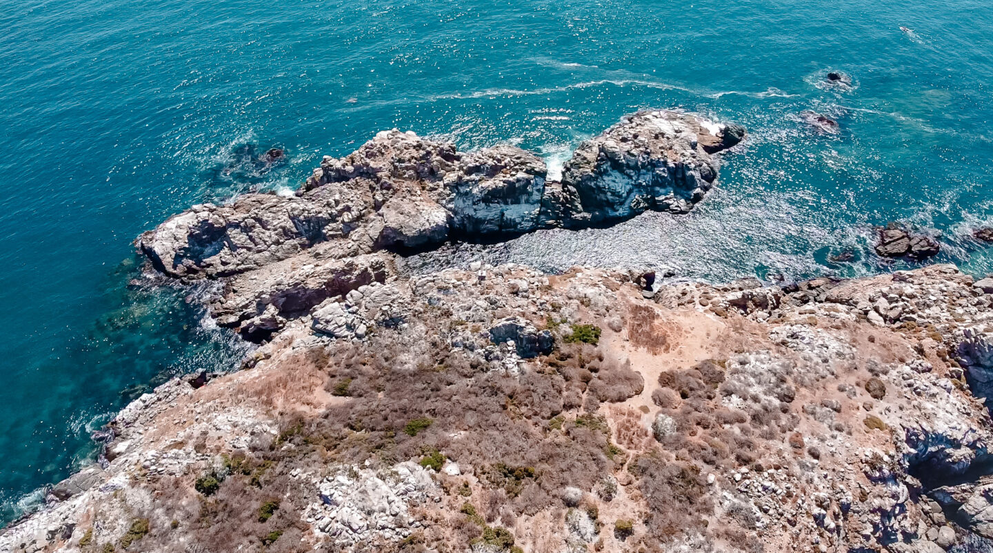 Islote Locos de Pichidangui