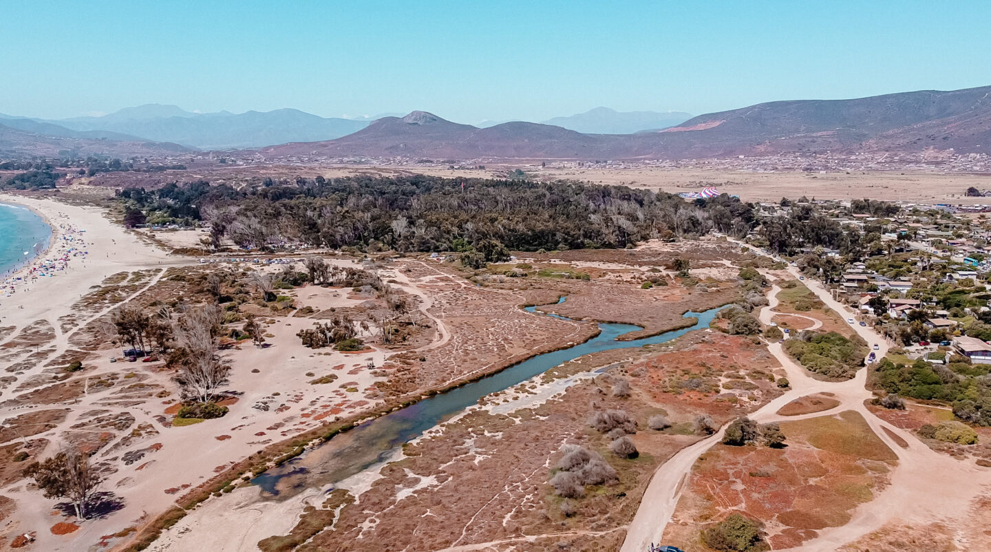 Humedal de Pichidangui