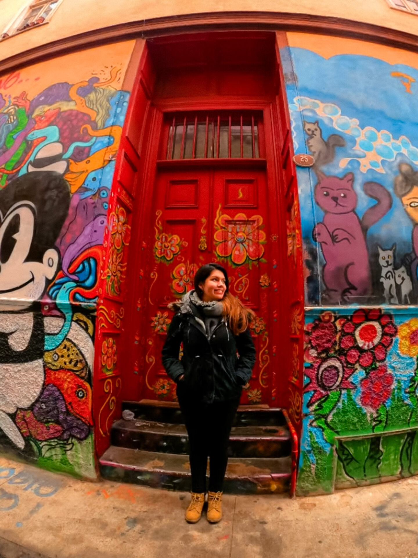 Valpara&iacute;so Quinta Region