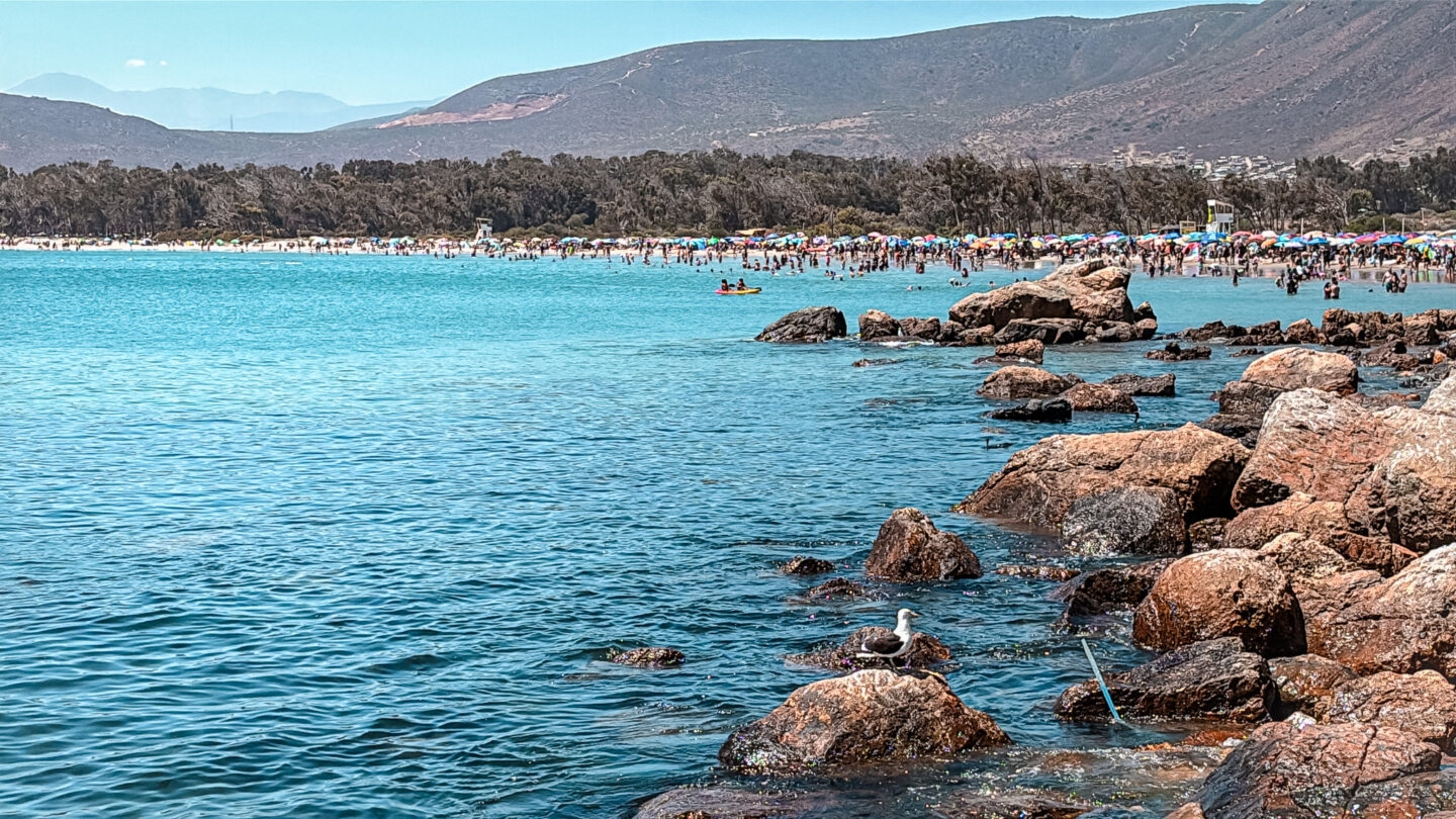 Playa Pichidangui