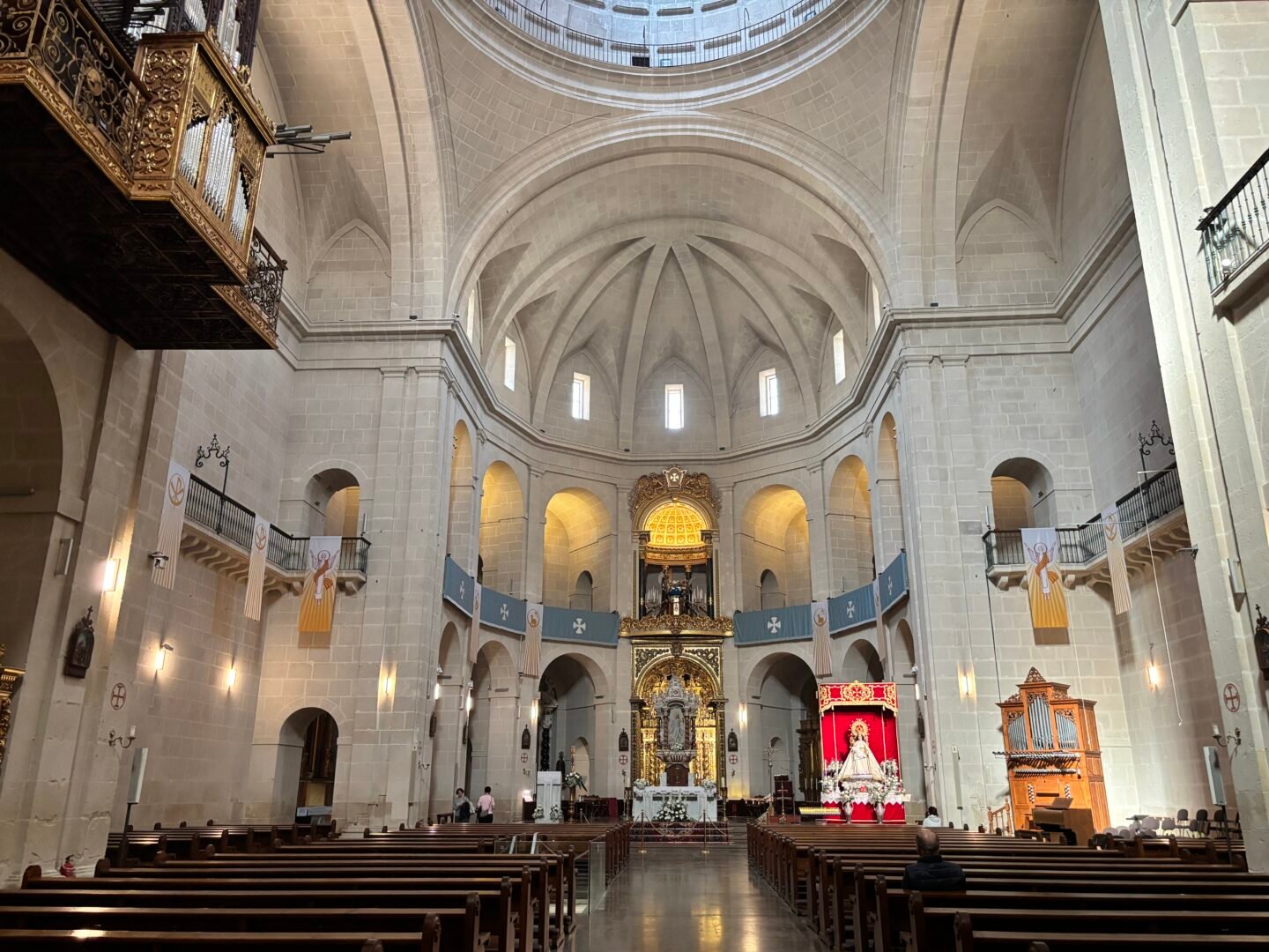 Vista panor&aacute;mica del majestuoso nave central e interior de la Concatedral de San Nicol&aacute;s de Bari en Alicante. La imagen muestra el altar mayor con un retablo dorado de estilo barroco, la impresionante c&uacute;pula renacentista iluminada por luz natural, los bancos de madera para los fieles y un &oacute;rgano barroco decorado en la pared lateral.