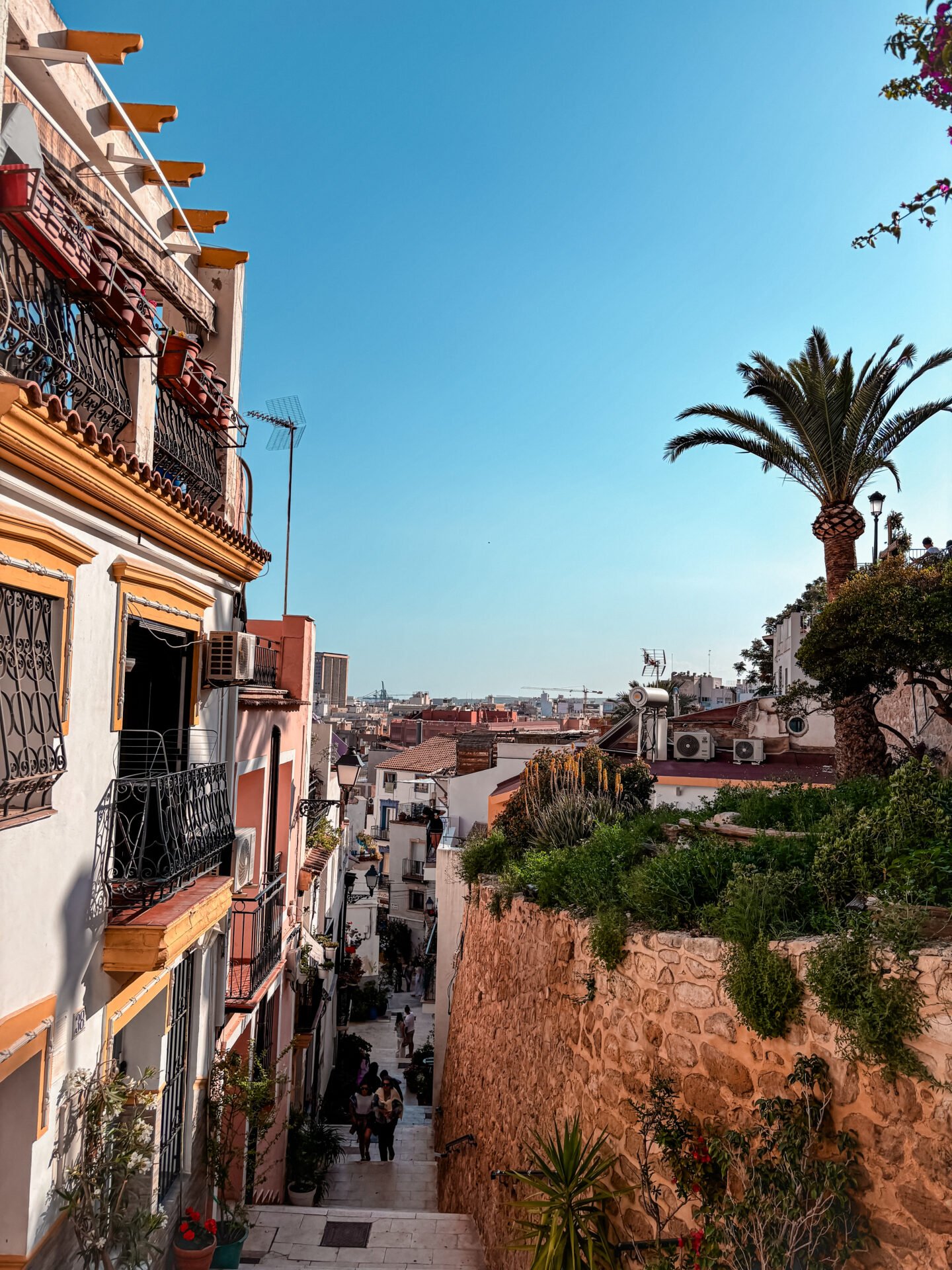 Vista descendente de un pintoresco callej&oacute;n de piedra en el Barrio de Santa Cruz, Alicante. Muestra casas de arquitectura tradicional con balcones decorados con flores, muros de piedra con vegetaci&oacute;n mediterr&aacute;nea y una palmera, con el horizonte y la ciudad de Alicante de fondo bajo un cielo despejado.